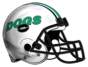 Celina High School Bulldogs helmet