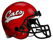Delphos Jefferson High School Wildcats helmet