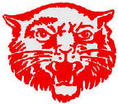 Kenton Wildcats